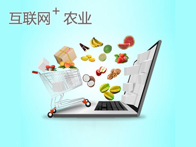 點豆網 以“互聯網+”助力農業可持續發展，開啟智慧農業新篇章